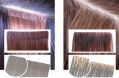 Комплект  HAIR  TALK  Plus, 10 прядок в упаковке, 4cmX0.9 cm, 20g,  100 %  Remy«Аrcos»,35 -40 см